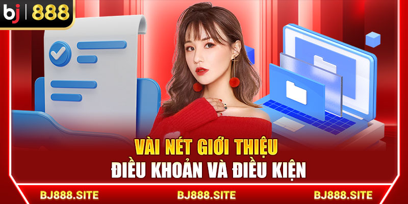 Vài nét giới thiệu điều khoản và điều kiện